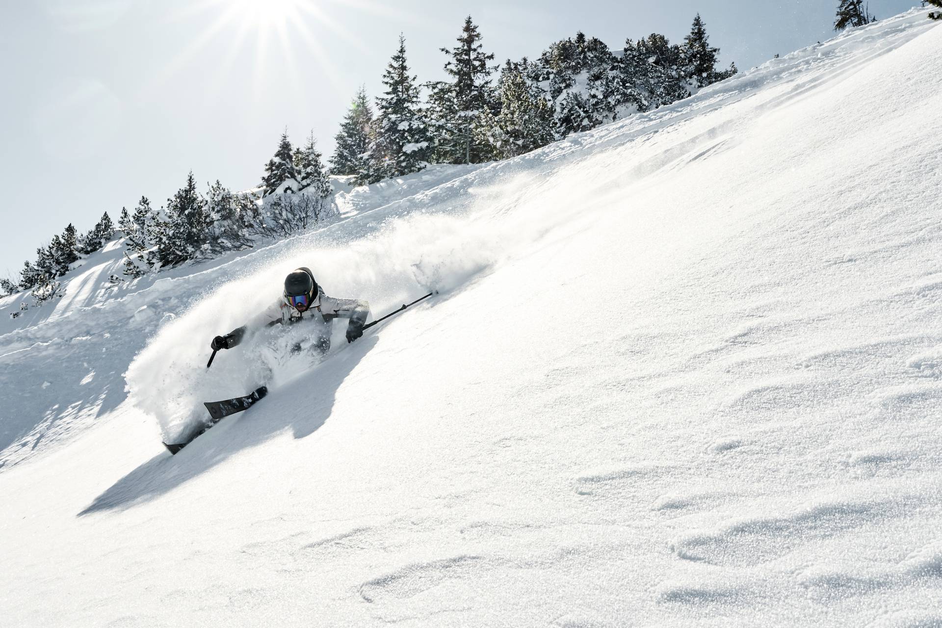 Skiers are skiing off-piste in deep snow, the sun is shining, coniferous trees can be seen in the background.