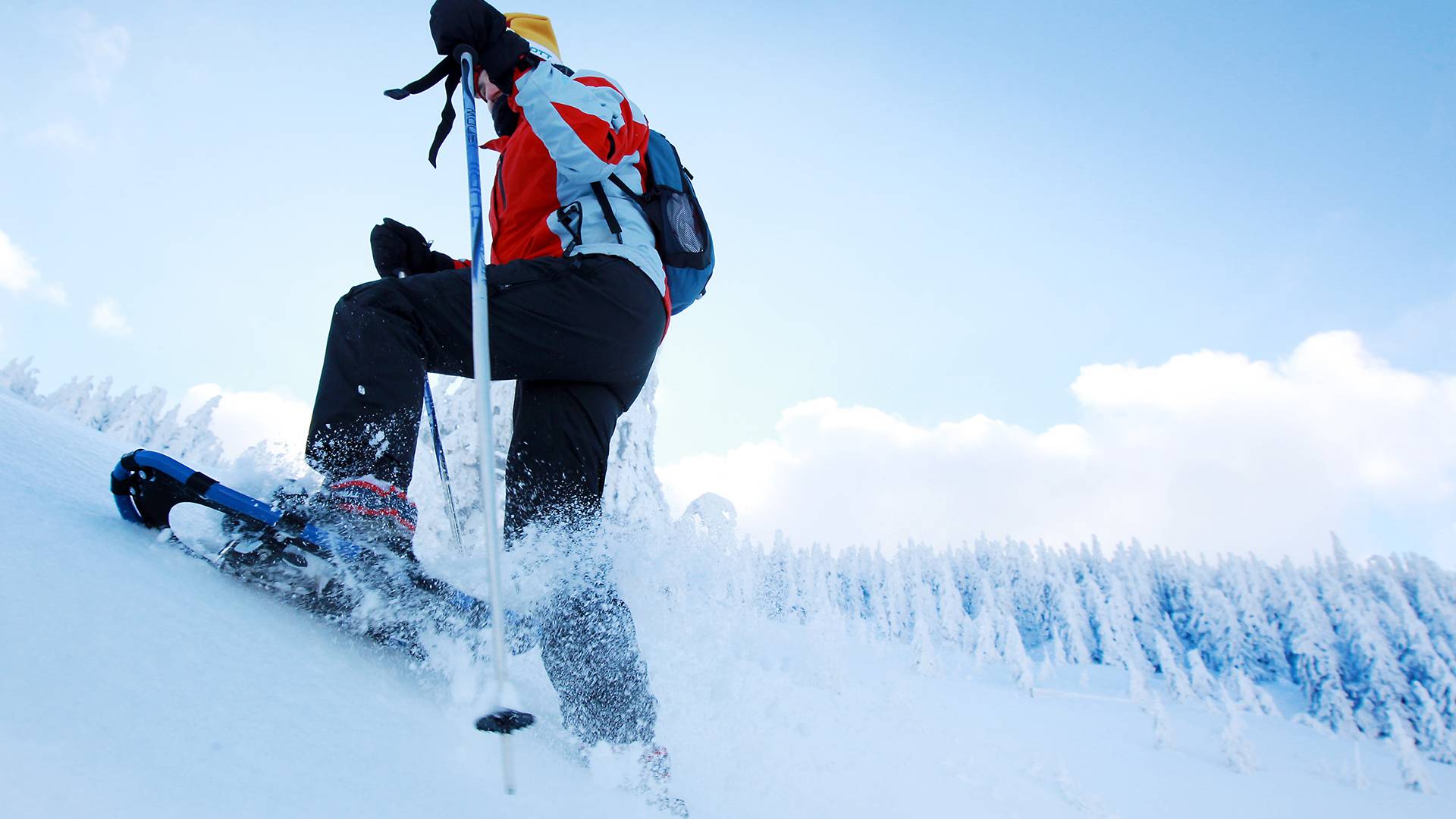 Een sneeuwschoenwandelaar loopt een piste op.