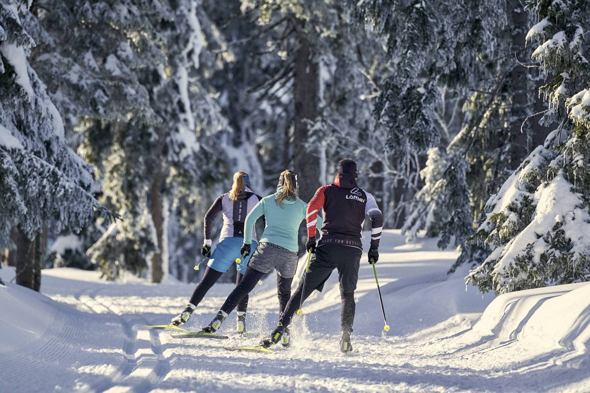 A group of three cross-country skiers in the middle of an idyllic winter landscape in the forest.