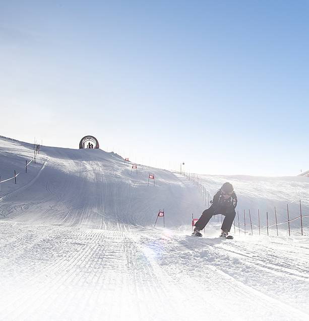 Ein Skifahrer fährt eine Riesentorlauf Abfahrt hinunter.