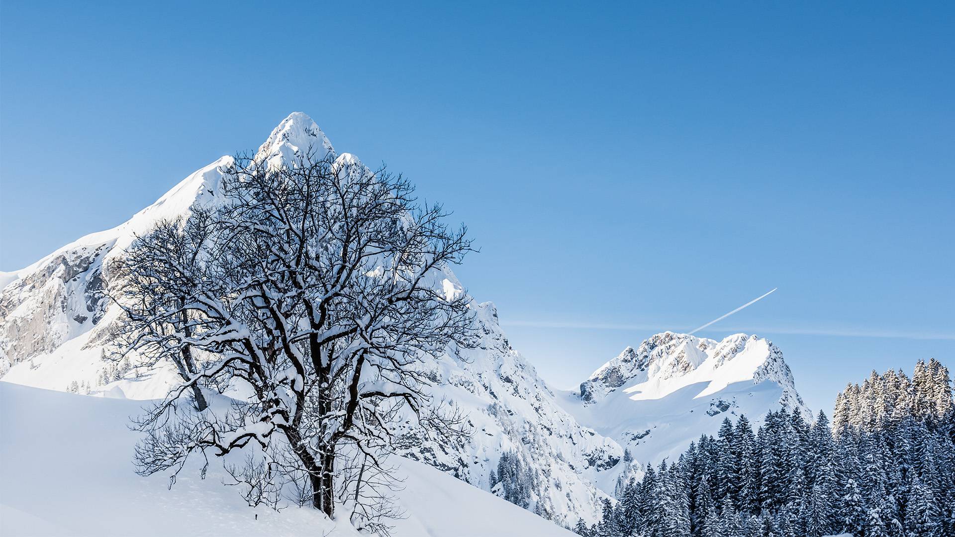 Schneebedeckte Gipfel an einem wunderschönen Wintertag.