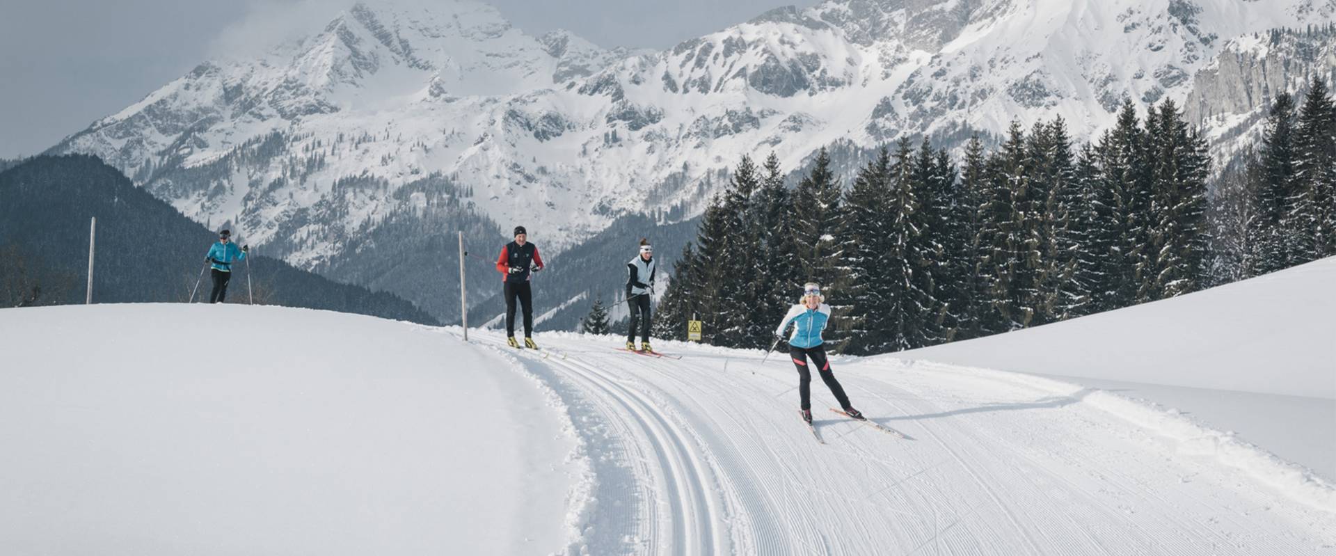 We zien een groep langlaufers.