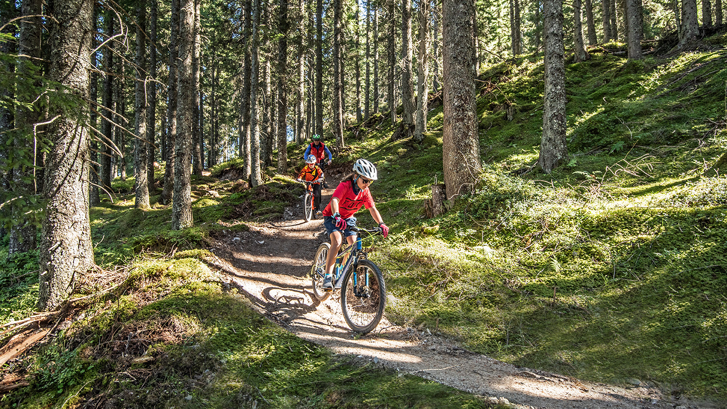 Eine Familie fährt mit den Mountainbikes einen Trail im Wald hinunter.