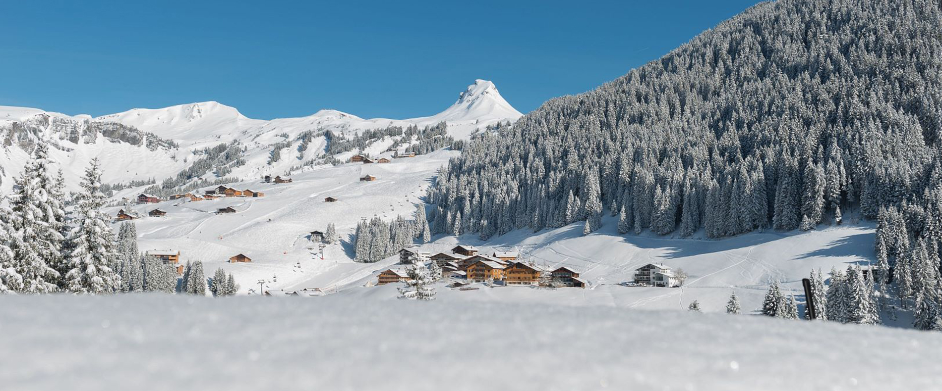 traumhafte Winterlandschaft mit blauem Himmel.